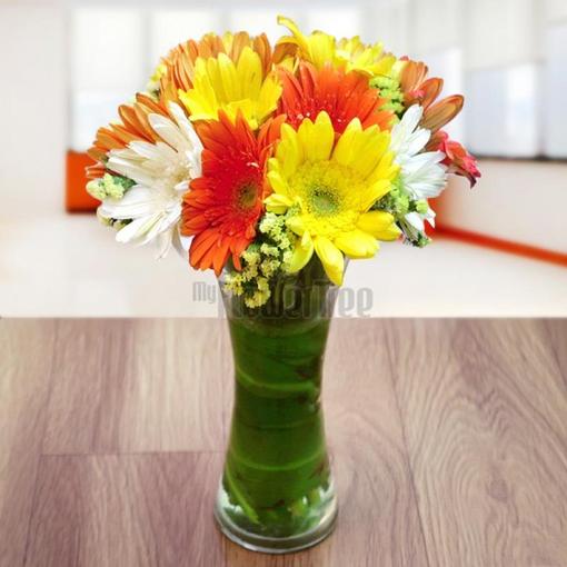 Happy Gerberas