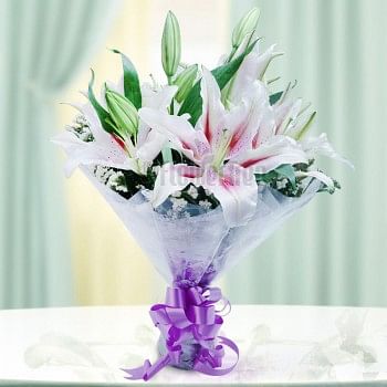 6 Pink Oriental Lilies wrapped in Cellophane paper
