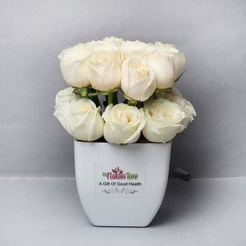 24 White Roses Arrangement in Plastic Pot