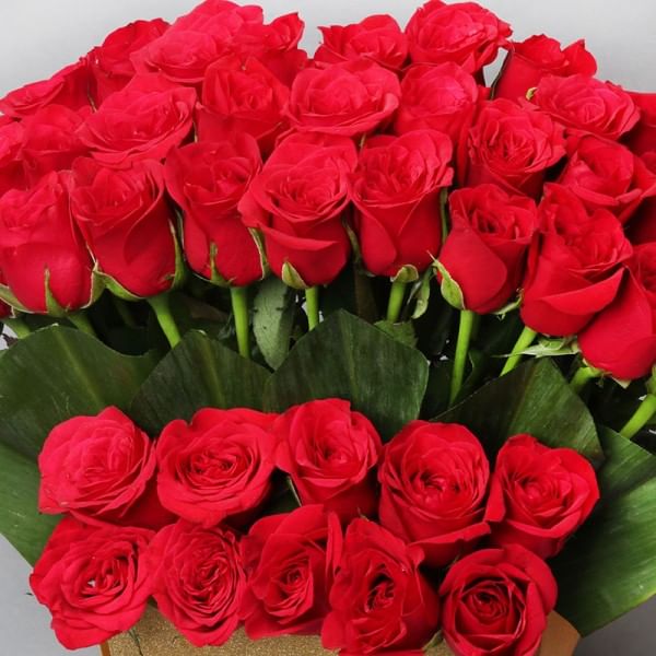 Luxury Blooms MyFlowerTree