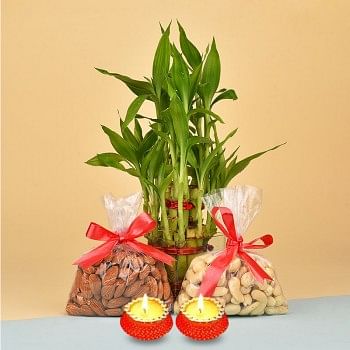 Almonds (100 gms) and Cashew Nuts (100 gms) with 2 Layer Lucky Bamboo Plant and Set of 2 Diya