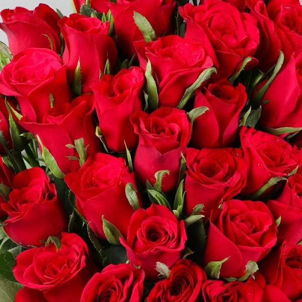 30 Red Roses