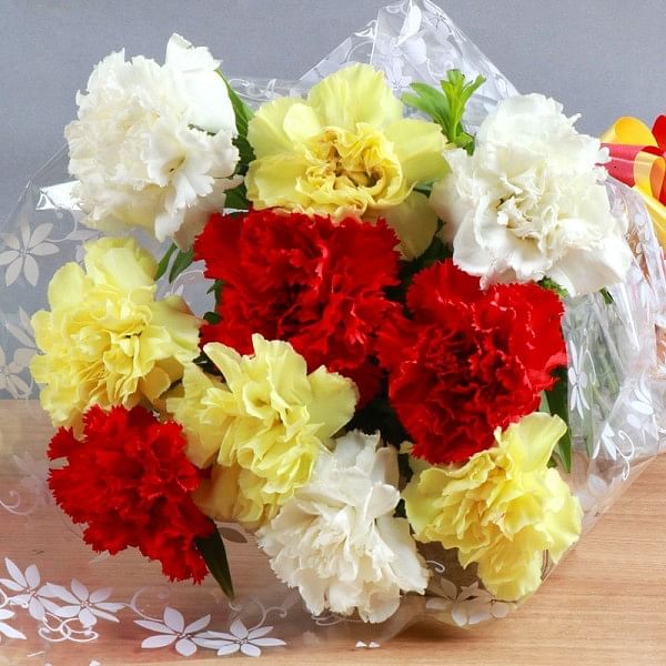 10 Carnations Bouquet