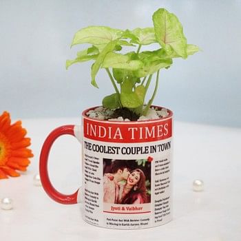 Syngonium Plant in Personalised Newspaper Theme Red Handle Mug for Anniversary