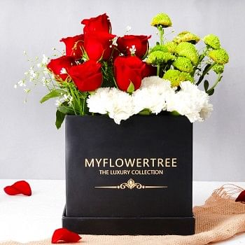 10 Red Roses,6 White Carnations and 2 Green Daisy arrangement in MFT Black Signature Box