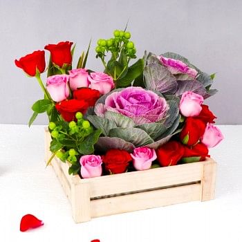 6 Pink Roses,4 Red Roses,2 Green Berries,2 Purple Brassica basket arrangement