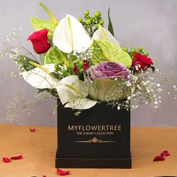 4 White Anthurium,3 Green Anthurium,3 Red Roses,3 Green Berries,1 Purple Brassila Flower Arrangement in MFT Black Luxury Box