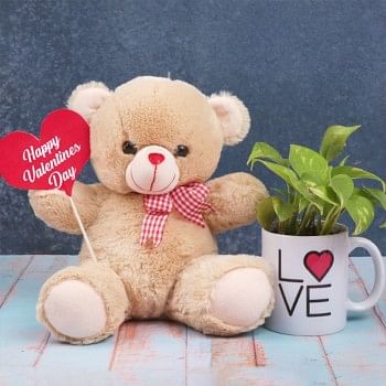 Valentines Day Teddy Bear with Printed Coffee Mug and Money Plant