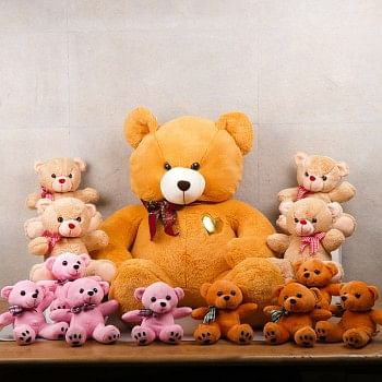 Room full of Teddy Bears including One Teddy Bear (3 Feet) and 4 Teddy Bear (12 inches) and 8 Teddy Bear ( 6 inches)
