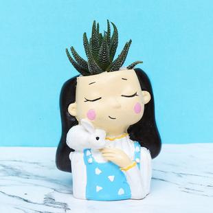 Loving Zebra Cactus Plant