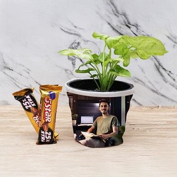 Syngonium Plant in Personalised Pot 