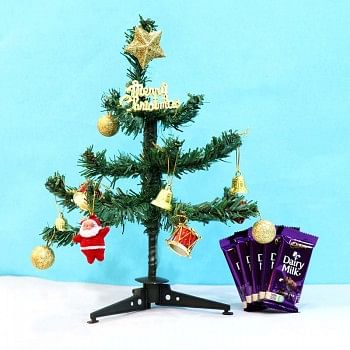 Christmas Tree and Dairy Milk Chocolate