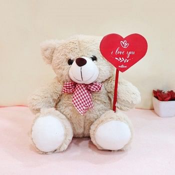 Valentines Day Teddy