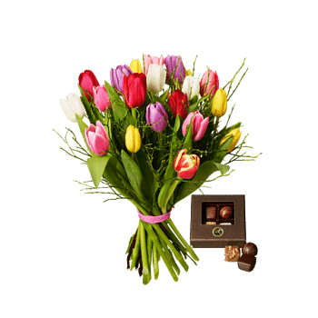 Tulips with Chocolate