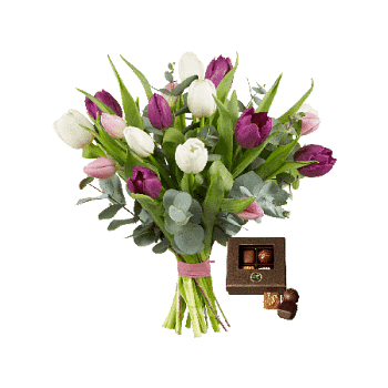 Tulip Bouquet With Chocolate