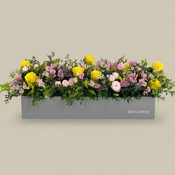 Aviva Flower Box