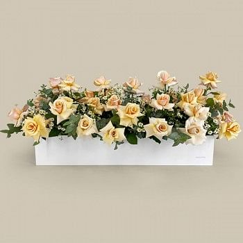 White Paradise Flower Box