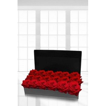 18 Long Stem Roses Presentation Box