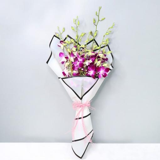 Love of Orchids Love of Orchids