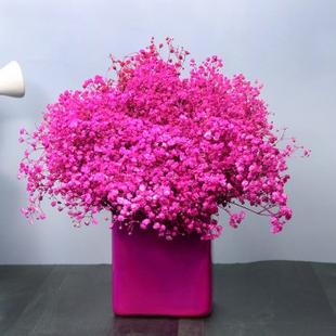 Pink Gypsum Arrangement