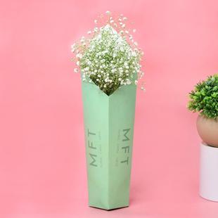 Elegance White Gypso