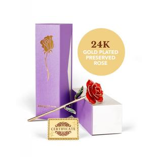 24K Gold Plated Red Rose