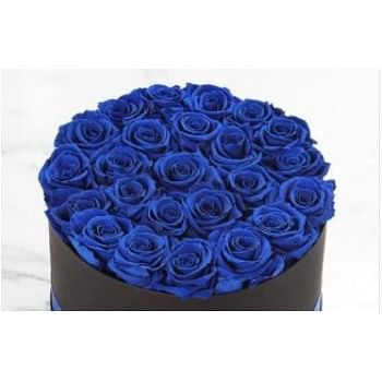 Blue Roses Hot Box