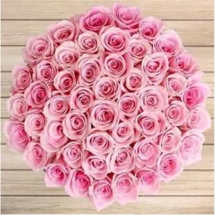 50 Pink Roses