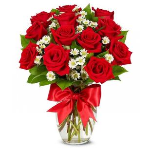 1 Dozen Roses Red