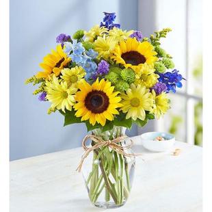 Florist Delivered Fields Of Europe Summer