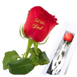I Love You Red Rose
