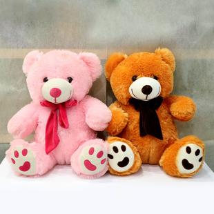 Adorable Teddy Bear Combo