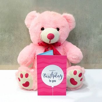 Baby Bear Birthday Combo