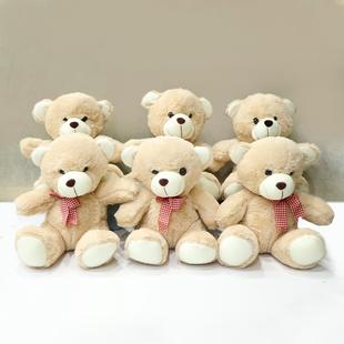 Brown Teddy Fondness