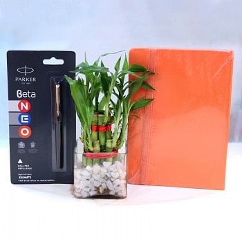 1 Grey Diary with ruled sheets, graph sheet, slips sheets inside (6x8.5 inches) and 1 Parker pen gift set (beta standard roller ball) with 2 layer Lucky Bamboo in a Glass vase