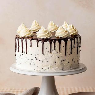 Chocochip Truffle Cake