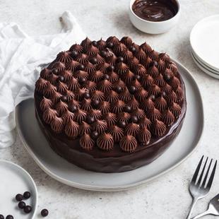 Fluffy Truffle Cake
