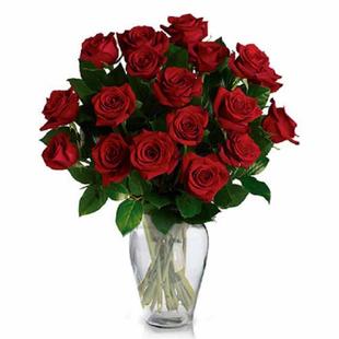 24 Red Roses