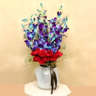 Orange and Blue Surprise