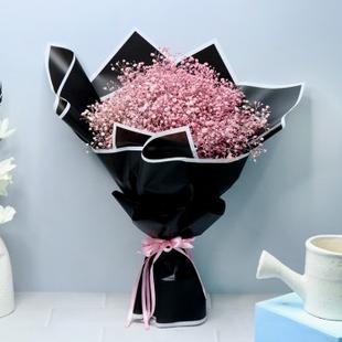 Royal Gypsm Elegance