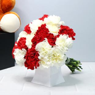 Holiday Carnations 