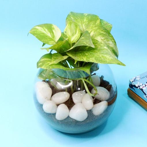 Money On My Mind Money On My Mind